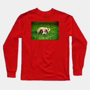 Pup Long Sleeve T-Shirt